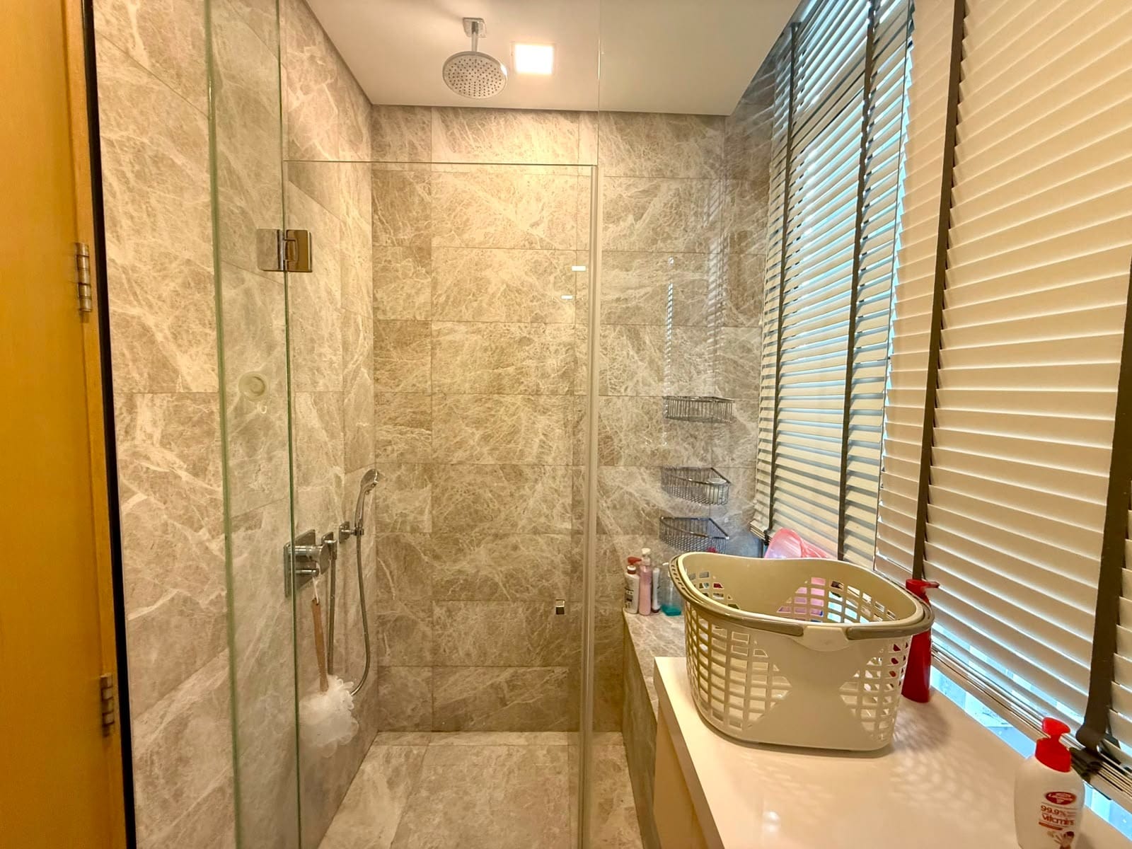 Master bathroom shower